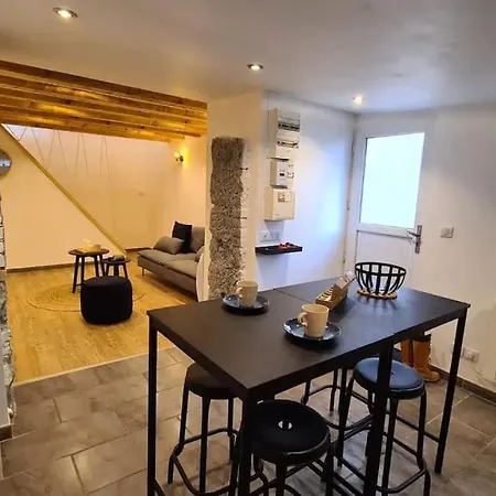 Magnifique Duplex, Confort, 10min A Pied Gare * Grenoble