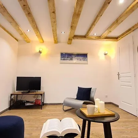Magnifique Duplex, Confort, 10min A Pied Gare Apartment Grenoble