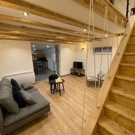 Magnifique Duplex, Confort, 10min A Pied Gare * Grenoble