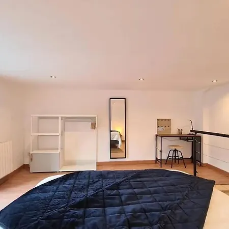 Magnifique Duplex, Confort, 10min A Pied Gare * Grenoble