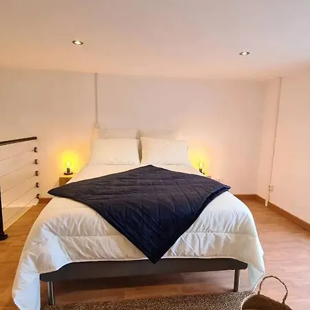 Appartement Magnifique Duplex, Confort, 10min A Pied Gare *